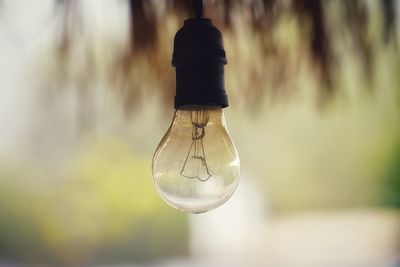 Close-up of light bulb