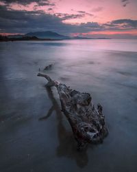 Driftwood in sea against sky during sunset