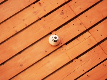 Close-up of snail on wooden wall