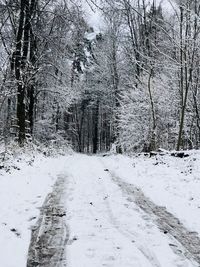 Snow covered road in forest