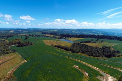 Panoramic view of agriculture field. rural and countryside scene. great landscape.