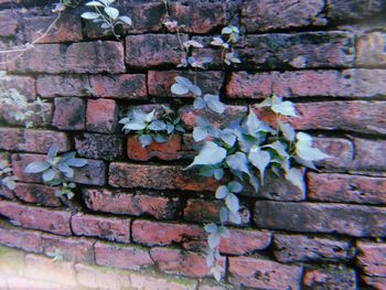 Full frame shot of brick wall