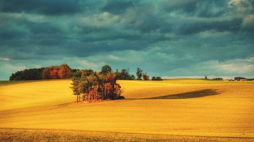 Scenic view of field against cloudy sky 