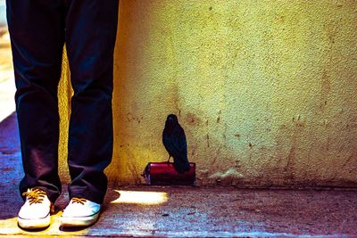 Low section of man standing on tiled floor