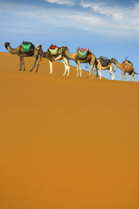 People walking on sand at desert