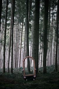 Person holding mirror against trees in forest