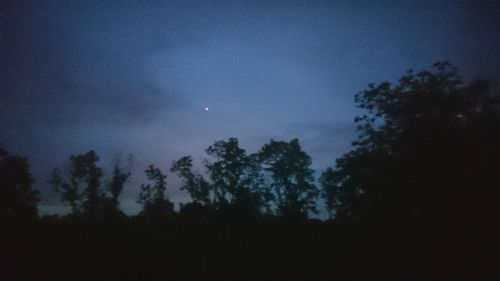 Low angle view of silhouette trees against sky at night