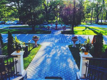 People in swimming pool against trees