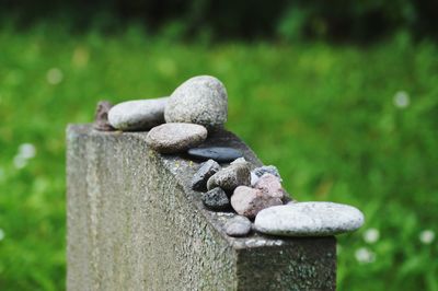 Close-up of stone wall