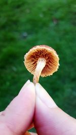 Cropped image of woman holding mushroom