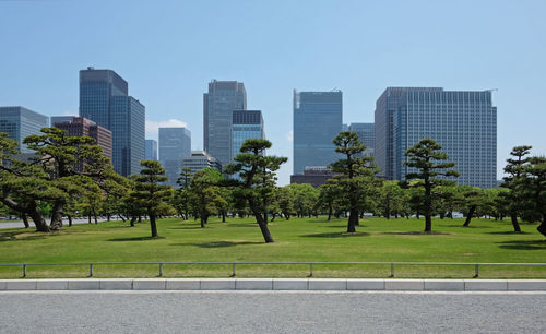 Trees in city against clear sky