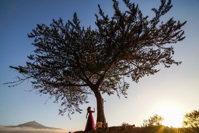 Low angle view of silhouette tree against sky during sunset