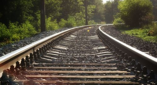 Railroad track in forest