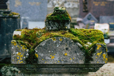 Close-up of old stone cross in cemetery