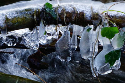 Close-up of frozen water