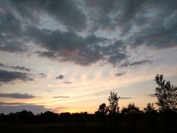 Low angle view of silhouette trees against sky during sunset