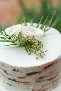 Close-up of bread on white plate