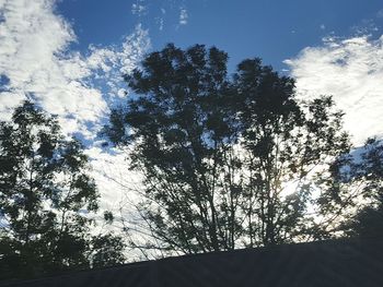 Low angle view of silhouette trees against sky