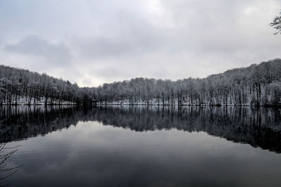 Scenic view of lake by trees against sky