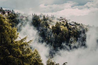 High angle view of trees against sky