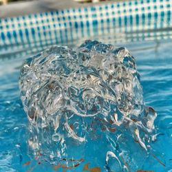 Close-up of jellyfish swimming in pool