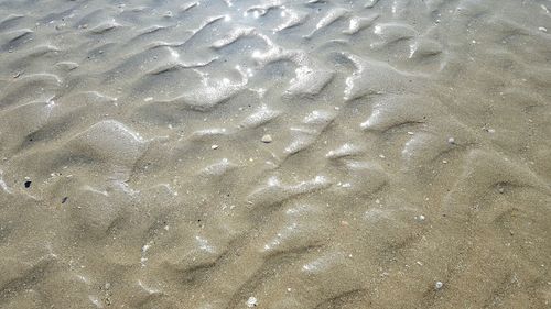 Full frame shot of sea shore