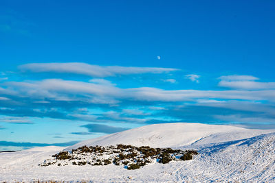 Scenic view of sea against blue sky