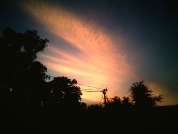 Silhouette of trees at sunset
