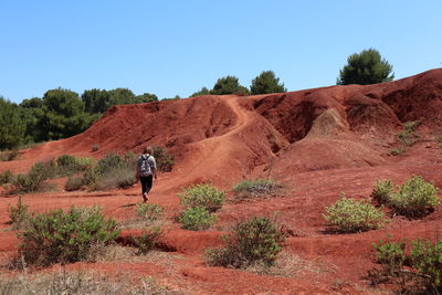 Rear view of person on landscape against clear sky