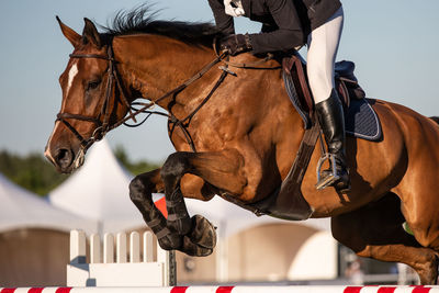 Horse jumping, equestrian sports themed photo.