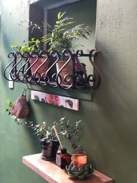 Potted plants on wall at home