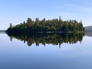 Reflection of trees in lake against sky