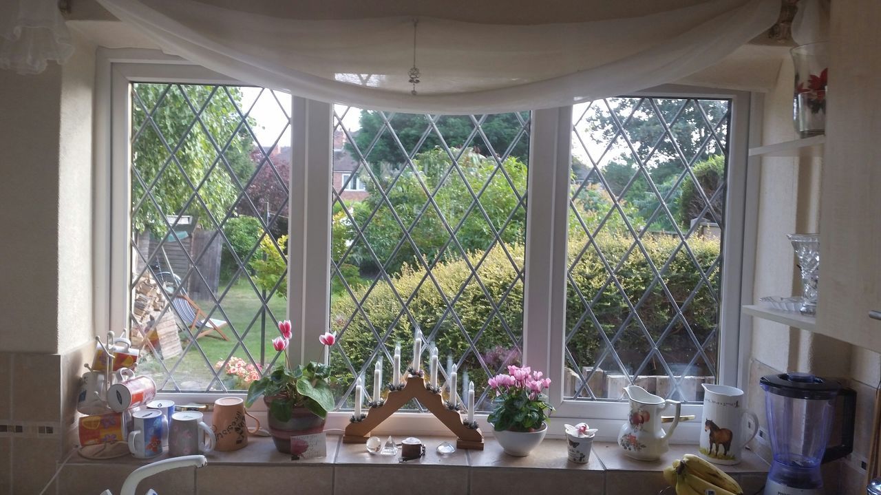 indoors, window, potted plant, house, plant, architecture, built structure, curtain, home interior, flower, growth, glass - material, chair, table, hanging, tree, transparent, vase, day, flower pot