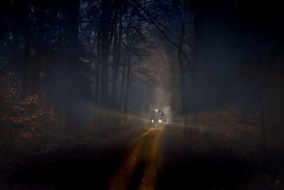 Dirt road amidst trees in forest at night