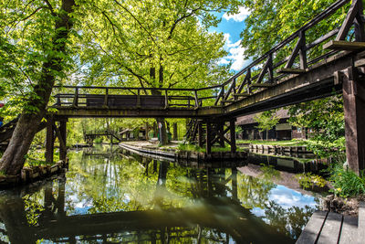 Footbridge over lake in forest