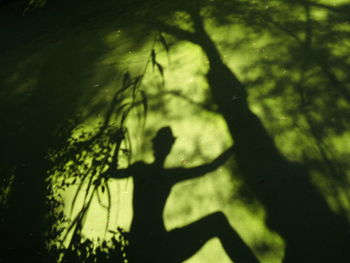 Shadow of two people swimming in water