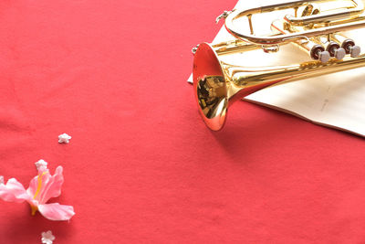 High angle view of red flower on table