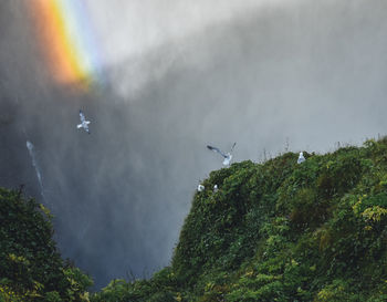 View of rainbow against sky