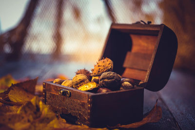 Close-up of dried fruits in box by autumn leaves