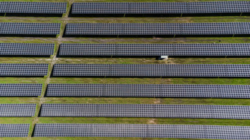 Solar panels at northern europas largest solar park near holstebro in denmark