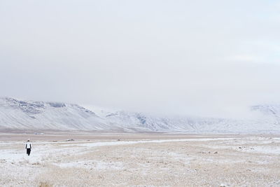 Rear view of man walking on beach against sky