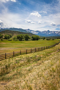 Scenic view of field against sky