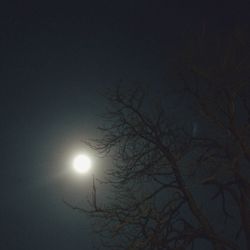 Low angle view of bare trees against sky