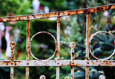 Close-up of chainlink fence