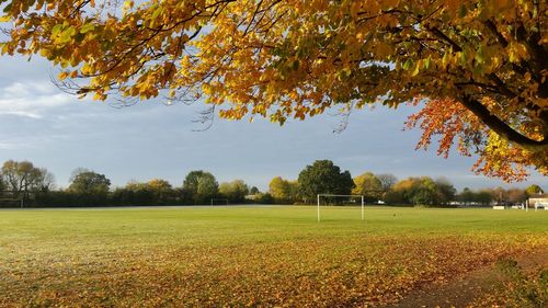 Scenic view of field against sky during autumn