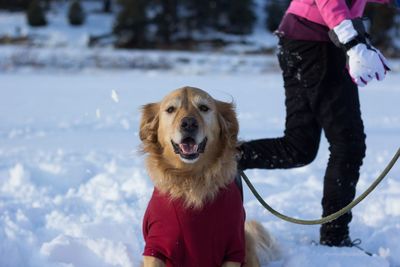 Portrait of man with dog in winter