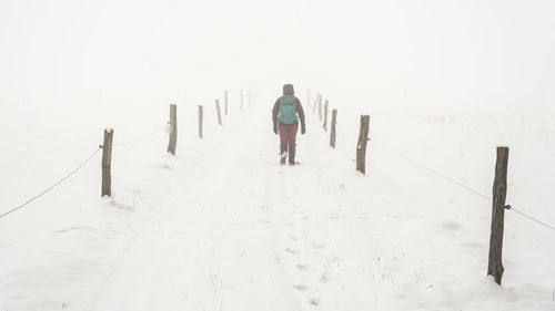 Rear view of person walking on snow field