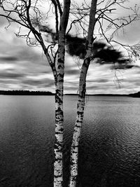 Bare tree by lake against sky