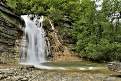 Scenic view of waterfall in forest
