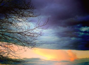 Low angle view of silhouette tree against sky at sunset